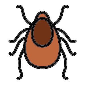 Get treatment for tick and mite conditions. Drawing of tick for section listing treatments for tick, lice or mite exposure